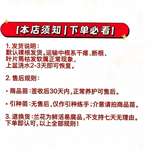 30元天府兰苑基地直播间一物一拍专拍链接（请勿私自下单）