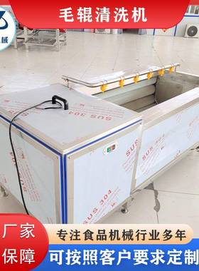 U型毛辊清洗胡萝卜芋头机根类毛辊去皮清洗茎机清GZX商用毛刷洗机