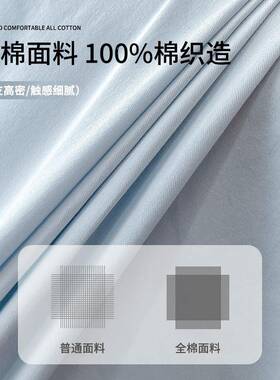 冬季加厚磨毛床单件纯棉100件全棉单人被单三套AL101115纯秋色a类