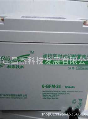 KELONG科华蓄电池6-GFM-24/12v24ah 直流屏UPS后备应急电池