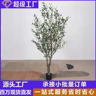 仿真绿植橄榄树盆栽飘逸款灰白叶加密橄榄树带果室内装饰门店摆件