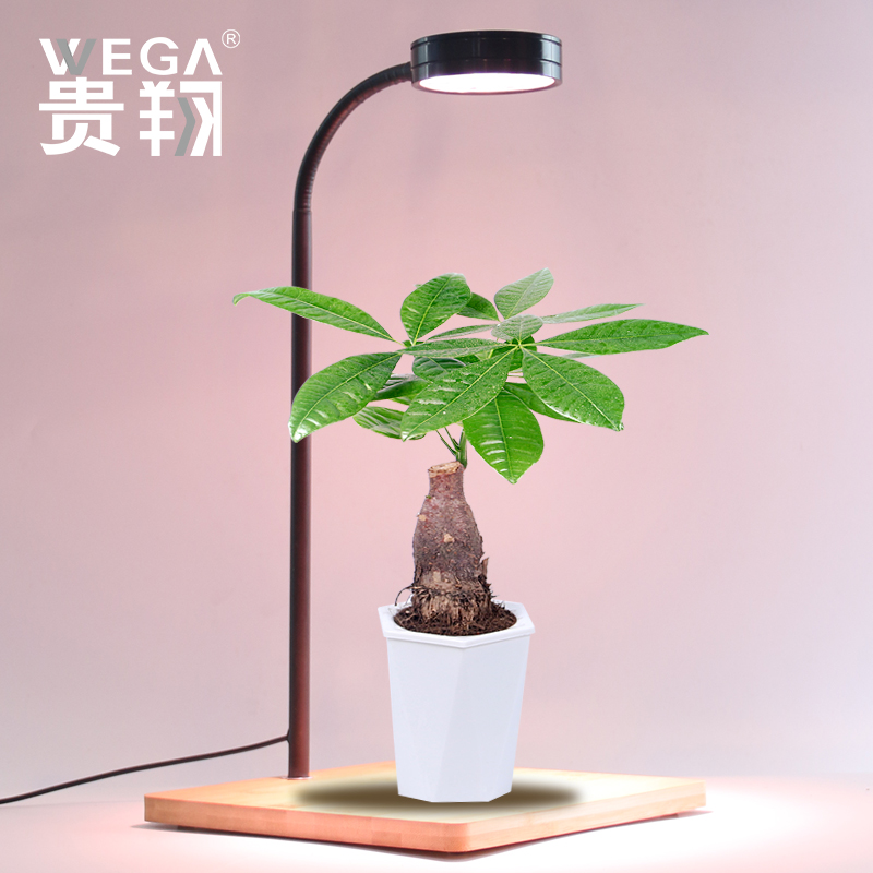 贵翔 植物补光灯LED多肉绿桌面绿植花卉盆栽鱼缸水草缸生长灯台灯