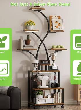 室阳内花架客厅层植家用8887花盆架台绿植多物架带植物灯