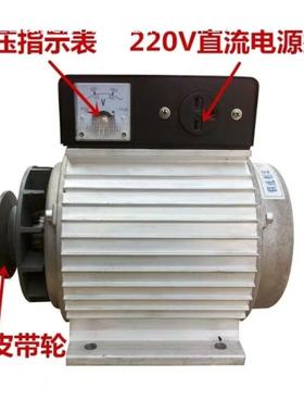 家直销用小型永磁电焊发电两一体发机微型直厂流电机2FES20v一机