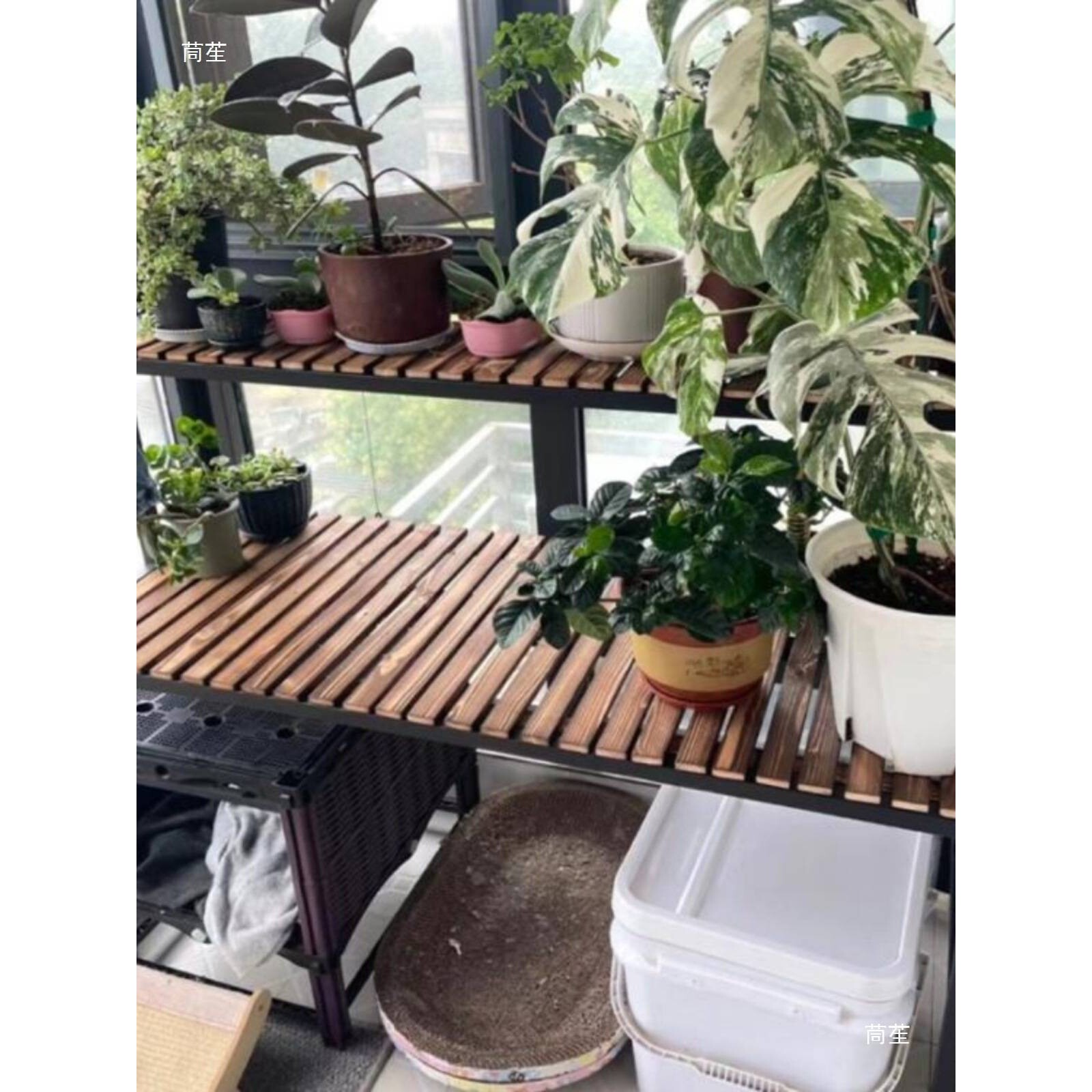 阳台实木阶梯猫爬架大空间猫窝铁艺花架二层多功能宠物用品置物架