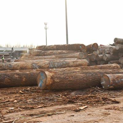 圆花旗松铁杉云原杉木古建EYU腐筑材圆柱材可车防处理防腐木实木