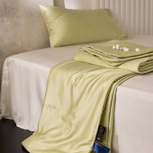 6SA类兰0天丝夏凉凉被丝精滑裸睡冰夏季薄被子可水洗头等舱纯色简