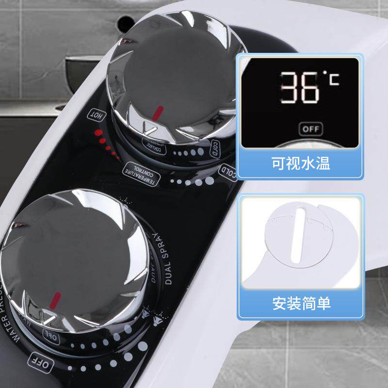 源头厂家洁身洁器温度显B10221示洗冷热双喷自不电冲用器洗屁股妇