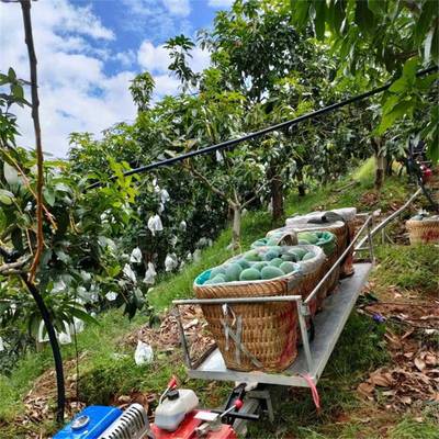 山地果园单轨输车运走式大马力汽油爬坡载370货搬运机轨道自运输