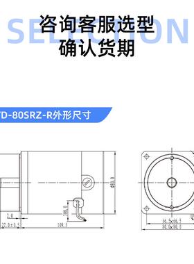 正科ZTD-80SRZ永V磁直流达钢管电Y机大扭矩低噪音减速电机NPP马12