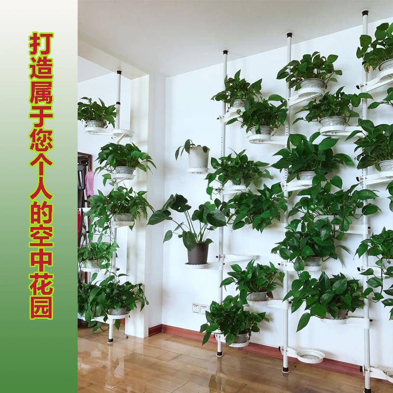 顶天立地高花盆架客室内铁艺多厅层落阳台绿箩吊2222兰地悬挂式花