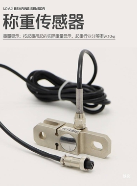 宁波艾恩INP起重量限制器 1T2T3T5T10T 环链电动葫芦单链双链超载