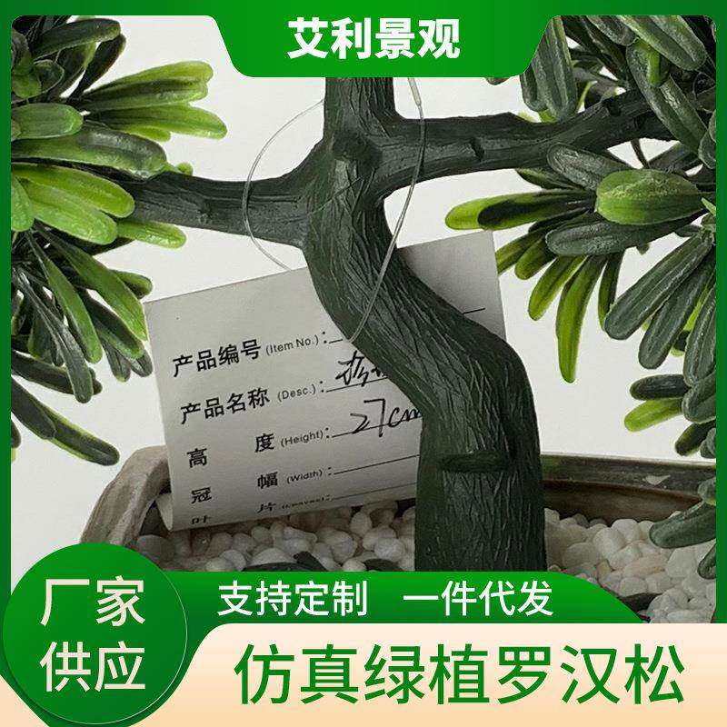 罗松盆栽室汉客厅装汉饰盆景绿植假xp-008树罗松植内物摆件