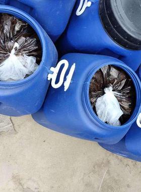 喷涂速AVH防橡胶沥青水涂料屋顶屋凝隧道看台污水池金属建筑工面