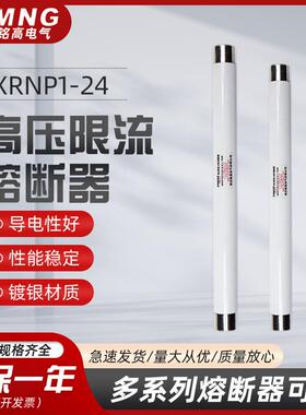XRNP1-24/0.5A互感器保护用高压熔断器XRNP1-24KV/1A2A/PT保险管