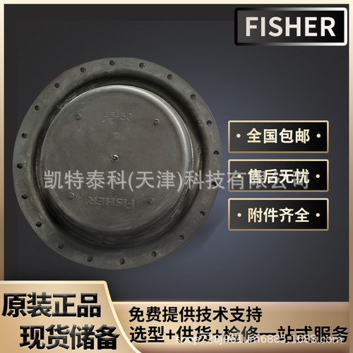 费希尔Fisher667执行机构膜片667-80 Sizes 80 2R6376X0082