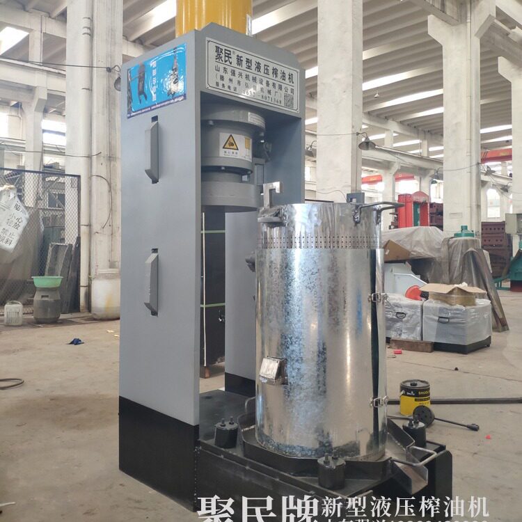 椰子油大型机械设备生产厂家山东强兴压榨椰浆椰汁大产量设备