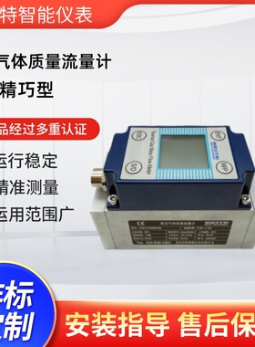 贝特LF500系列热式气体质量流量计供氧专用微小型氧气流量计