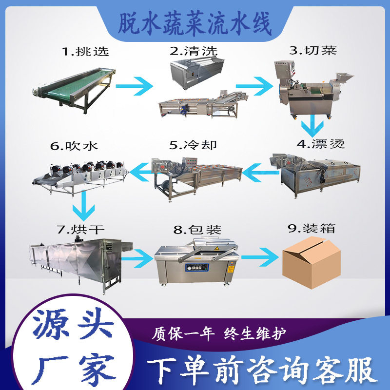 脱水蔬菜流水线全套加工设备杨梅气泡清洗机冬笋高压喷淋气泡清洗