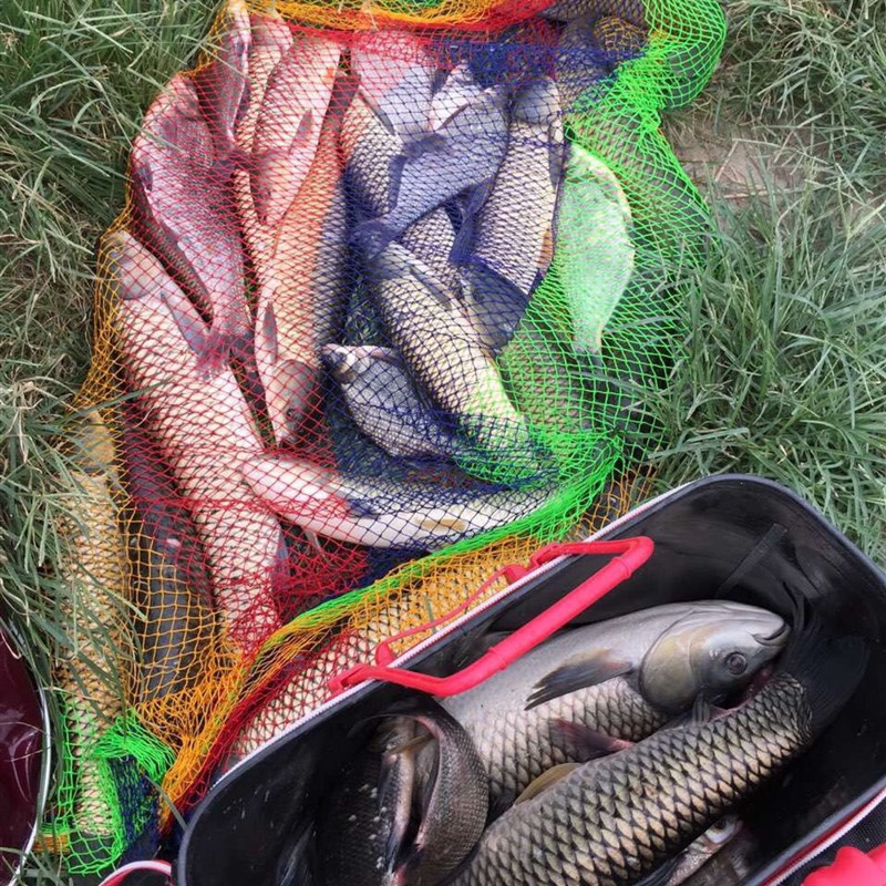 红果酸钓鱼小药饵料窝料开口添加剂鲫鲤草鲢鳙罗飞诱鱼开胃促食剂