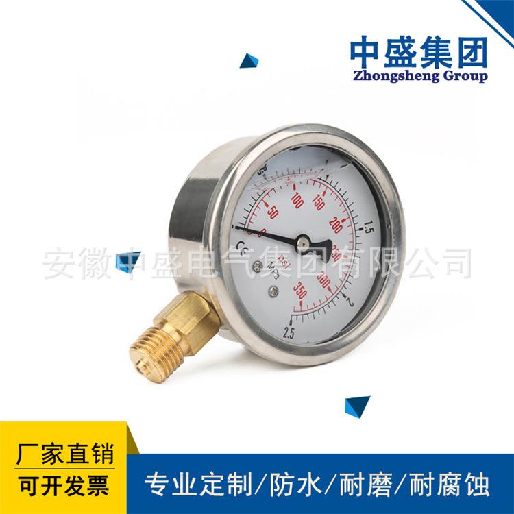 YE-100B不锈钢膜盒压力表 耐震 隔膜 真空