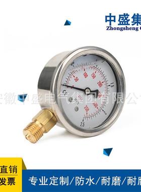 YE-100B不锈钢膜盒压力表 耐震 隔膜 真空