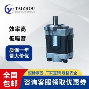 日本岛津Shimadzu高压叉车齿轮泵液压油泵SGP1 2系列一年质保