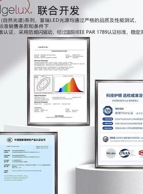 极室72633简全光谱朵客厅卧吸顶灯儿童房奶油风护眼曲奇云中山灯