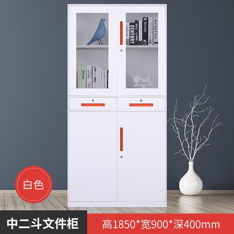 钢制纯白套色窄边件柜铁皮柜办文公档柜钢制储资物柜料柜SY-0003