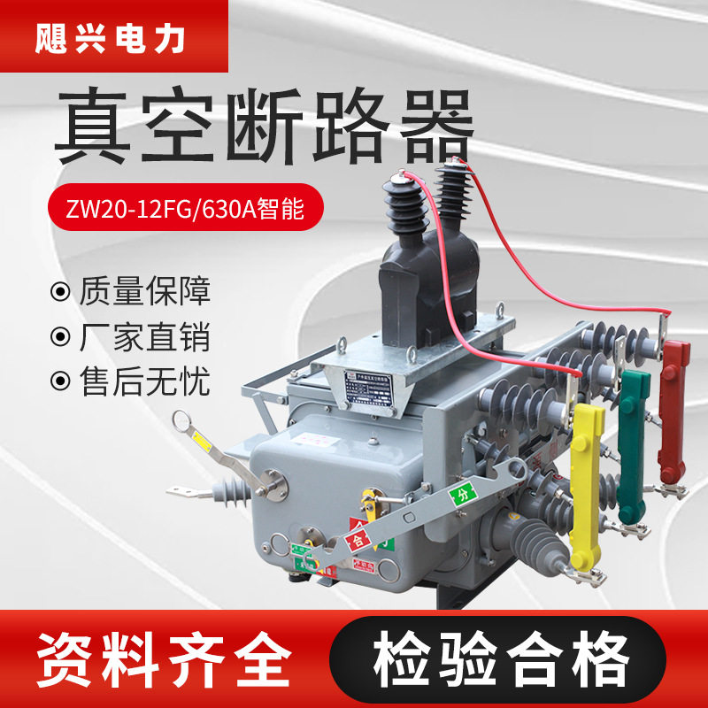 10kV户外共箱智能柱上开关