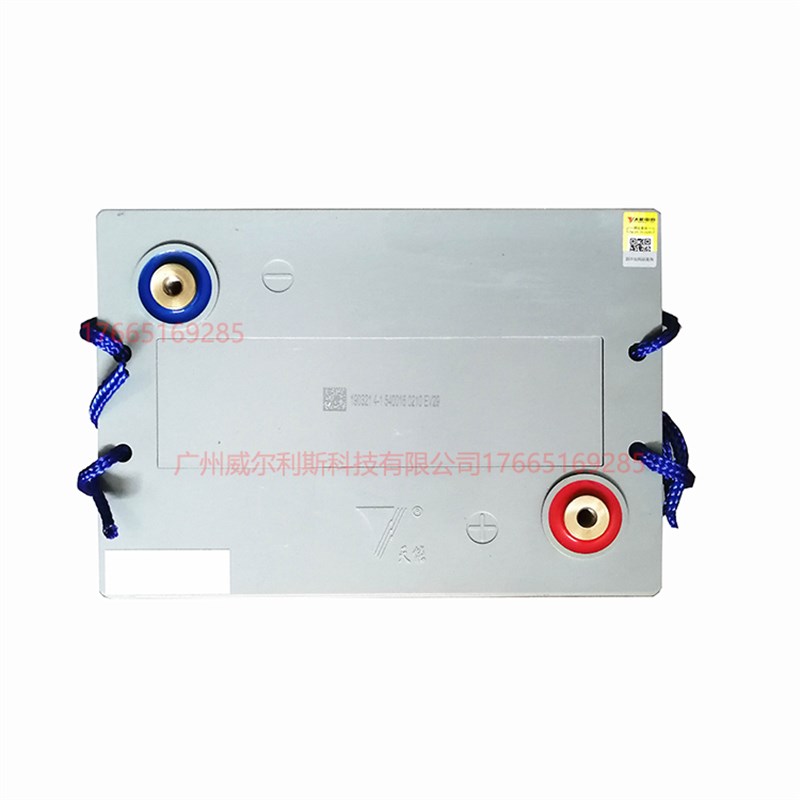 天能3-EVF-200/220 V200H电动汽车 扫地巡逻车电池以旧换新原装