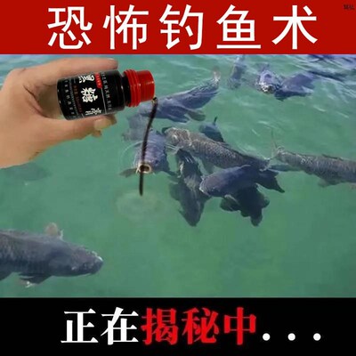 诱鱼因子钓鱼小药鱼饵料鲫鱼鲤鱼饵野钓黑坑通杀钓鱼用品鲤鱼小药