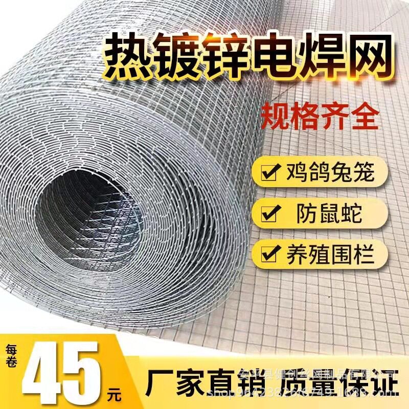 电焊网钢丝网片热镀锌铁丝网护栏网抹灰网焊接网镀锌防护兔笼