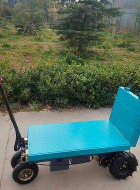 蔬拉菜大KRH棚电动平板车工地仓轮储货搬家可骑双向倒四工程平板