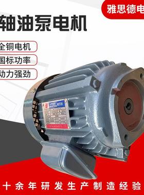 直插花油泵内轴电机单相3.键W4.0W220V电785动机动0力单元