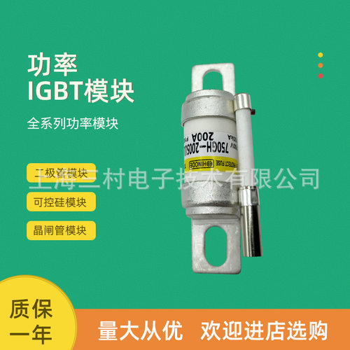 熔断器保险丝660GH-160-UL
