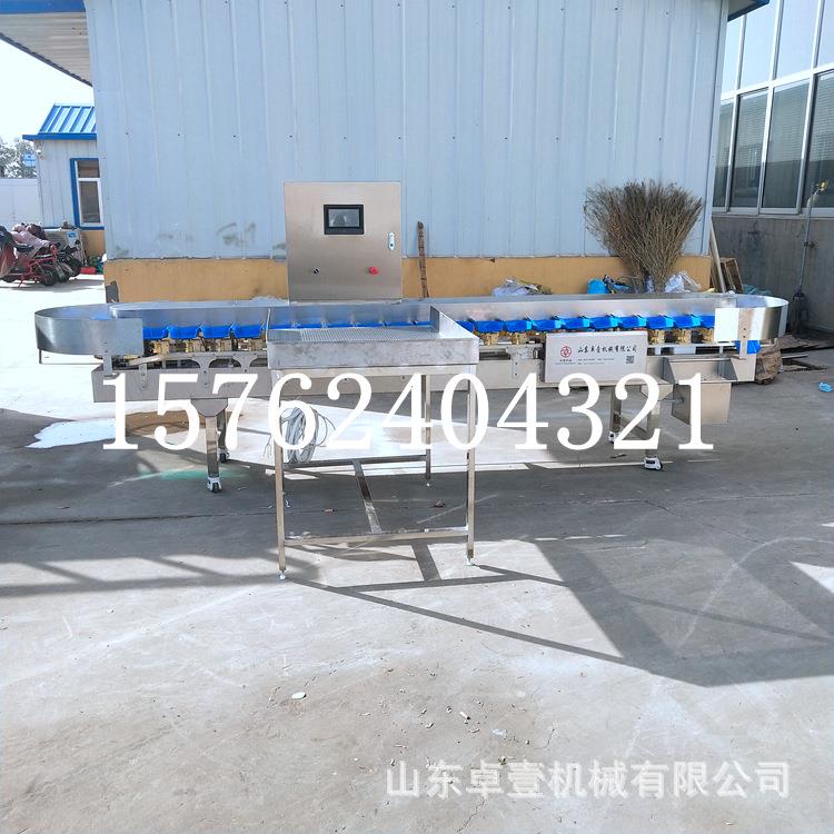 全自动料盒重量分选机高ZY-FXJ精度鸡爪头分柚拣脐机子橙百香果分