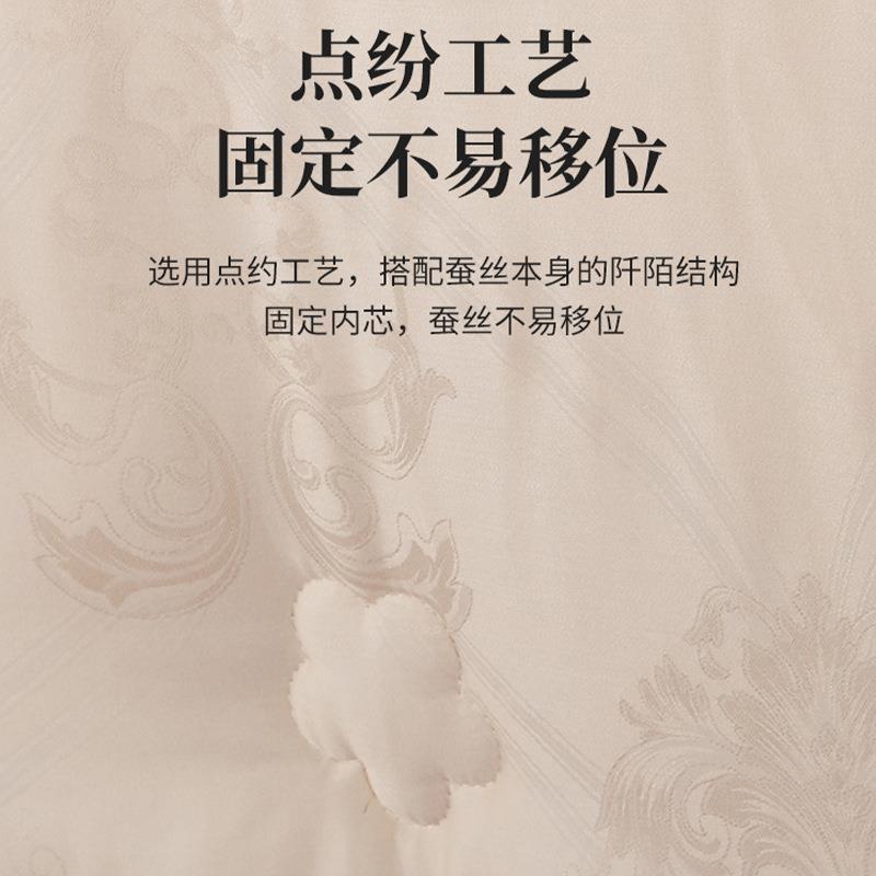 床上用品暖秋冬加厚144保被芯莫代尔贡缎家提花用被蚕丝一件