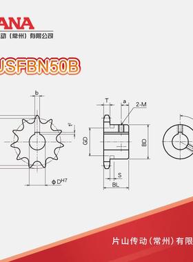 SUSFBN50B齿：1I0~16数键不锈钢成SUSFBN50品孔链轮新JS槽规格