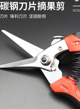 稀佐剪吉7827川5果2762NIO直口手剪修枝剪摘果叶芽剪子花枝园艺剪