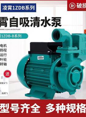 广东泵凌霄牌水泵1ZD增B76835/45/65型自吸清水家用自来水抽水机