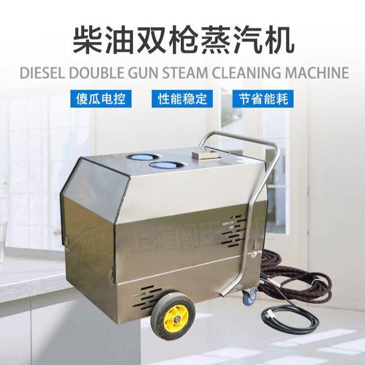 柴油型高压蒸汽洗车机 公共场所清洁消毒办公场所污垢清洗设备