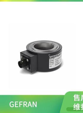 功EFRANRNP杰佛伦P-34-ZS-0500000X000X00率控G制器