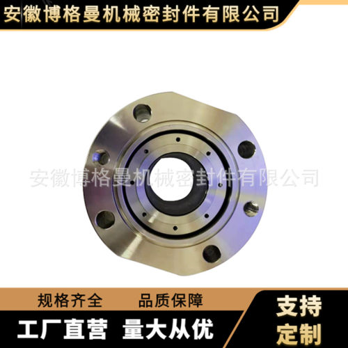 H75VK机械密封 25-H75VK/60-FTA303-A3 前置泵机械密封
