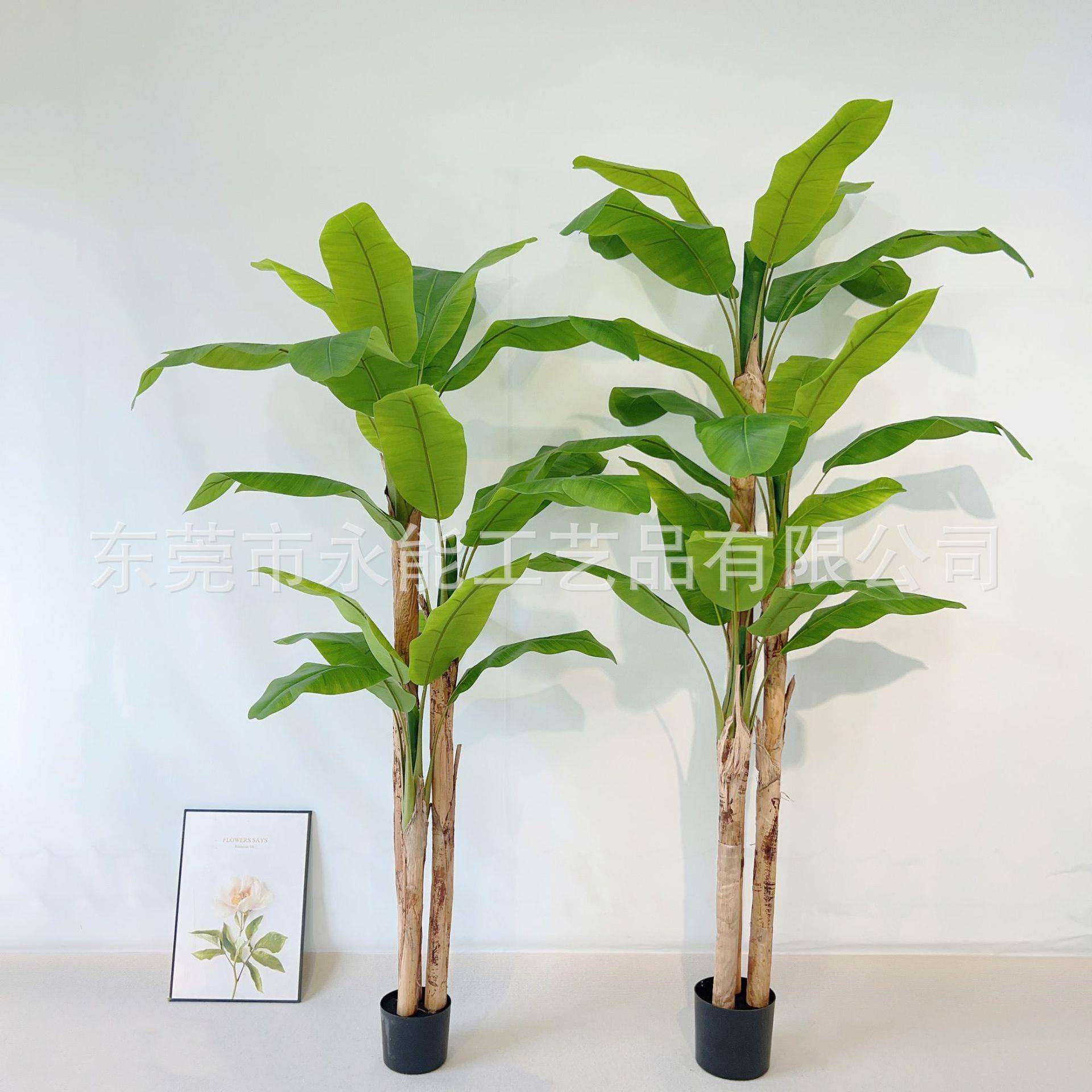 仿真芭蕉树绿植蕉落客地树盆栽室内装饰厅真芭蕉植物旅人仿Y-4香