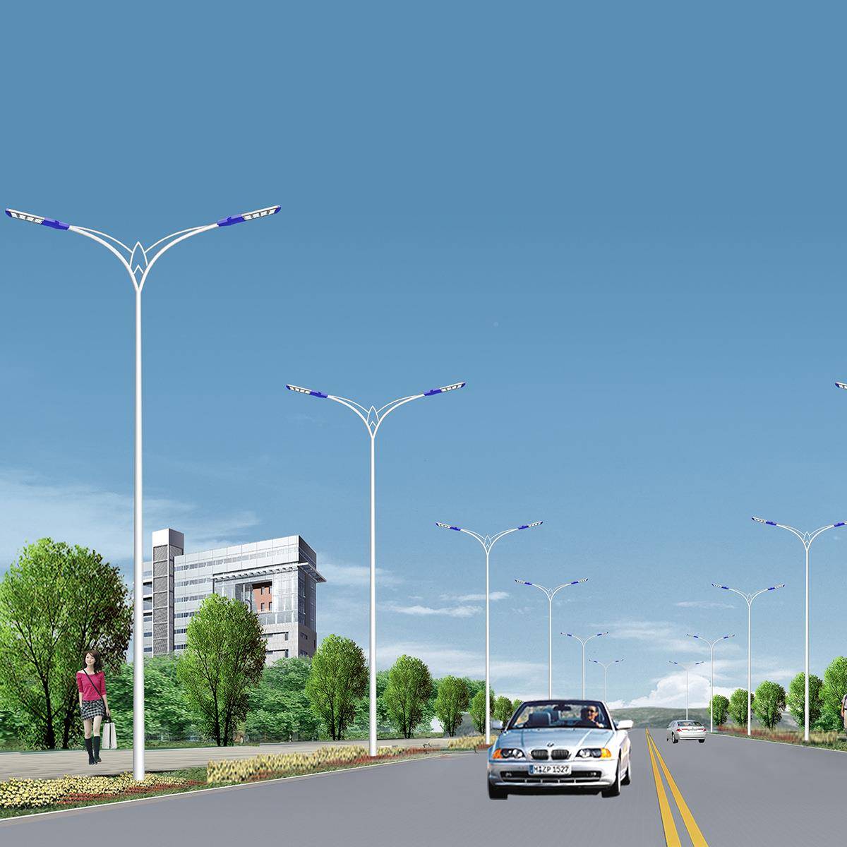 市政工程EDTWLD灯路220V6米8米10米户外防水农新村高杆市电路灯