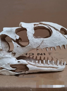 鱼缸水族箱造景装饰摆件造景恐龙树脂头骨爬虫躲避水族馆装饰