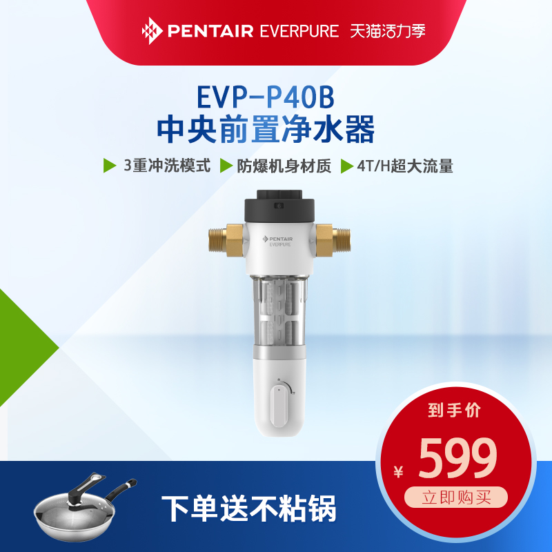 爱惠浦前置净水器全屋自来水反冲洗过滤器家用中央净水机EVP-P40B