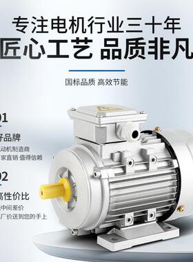 家YS铝0.3壳7kw-厂11kw电动机极YSMS6三相异步交流电动机马达电机