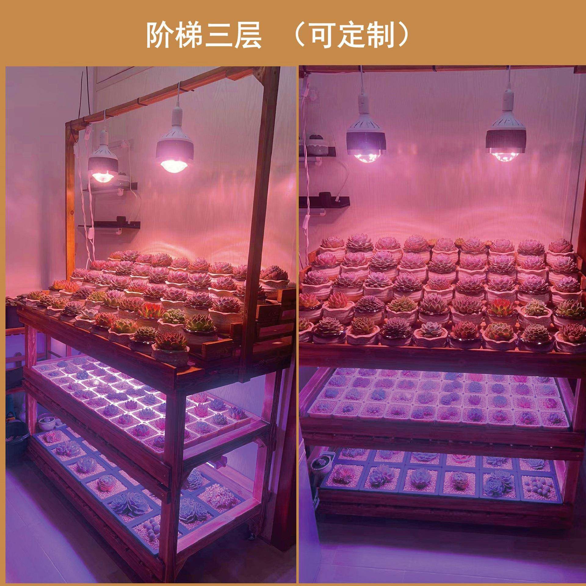 可r^多层阶梯花架三层防腐木木可可定实花架可挂1植物灯多肉带灯